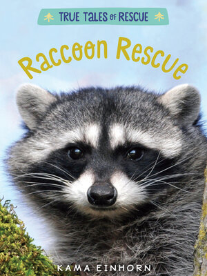 cover image of Raccoon Rescue